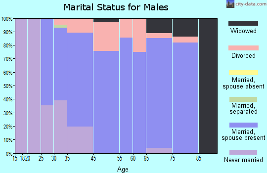 Woodlawn Park marital status for males