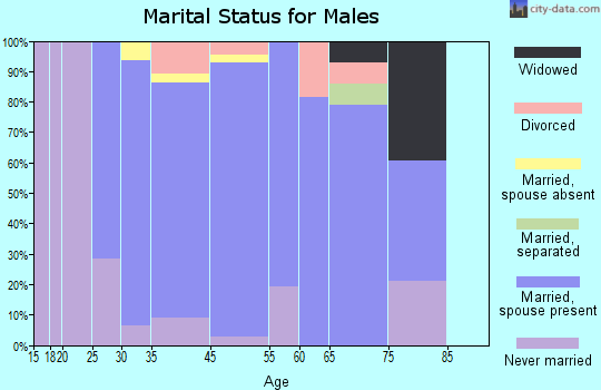 Abita Springs marital status for males