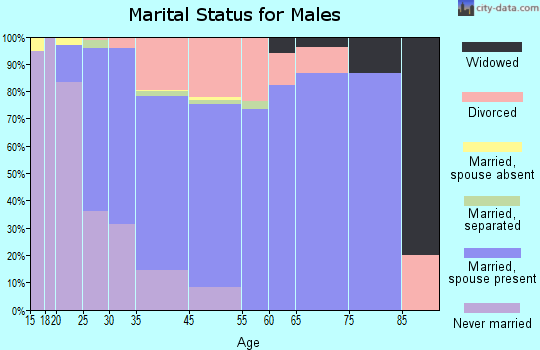 Addis marital status for males