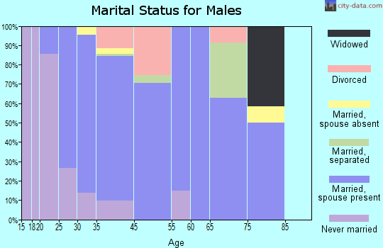East Sahuarita marital status for males