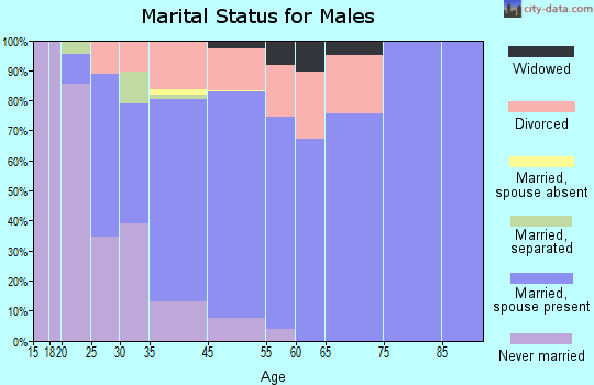 Avondale marital status for males