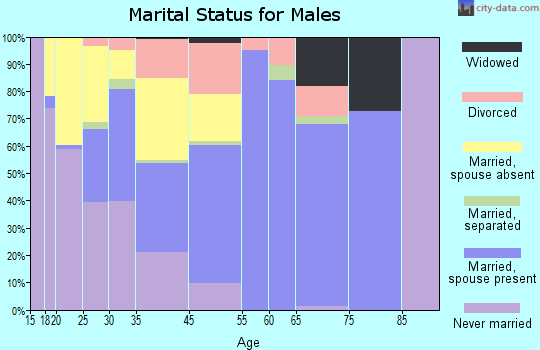 Baldwin marital status for males