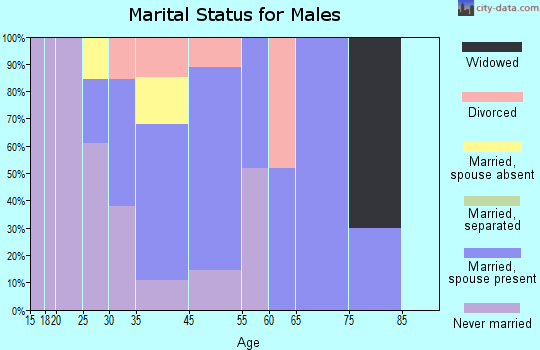 First Mesa marital status for males