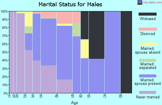 Fort Defiance marital status for males