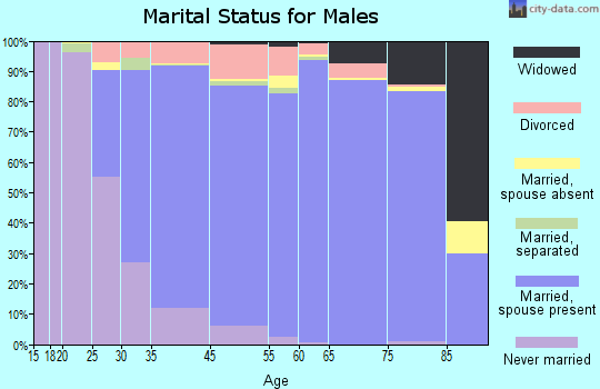 Fountain Hills marital status for males