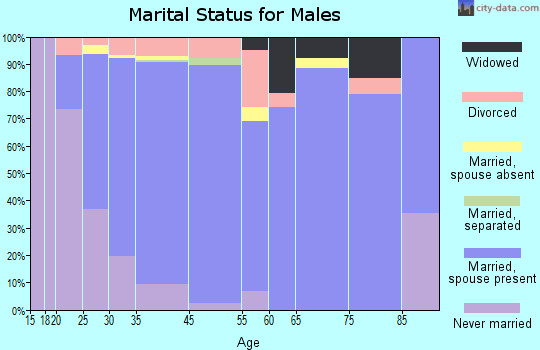 Galliano marital status for males