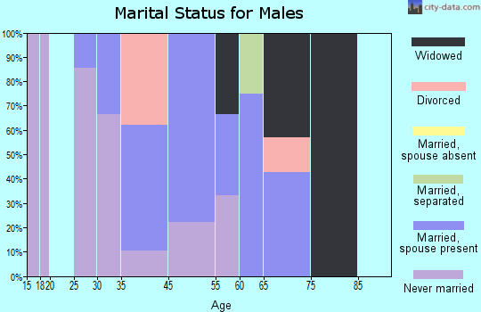 Hall Summit marital status for males