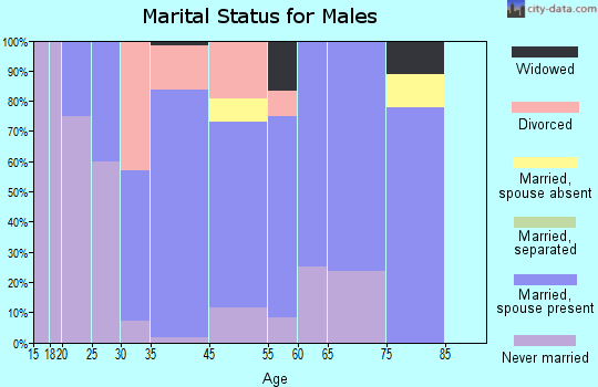 Maurice marital status for males