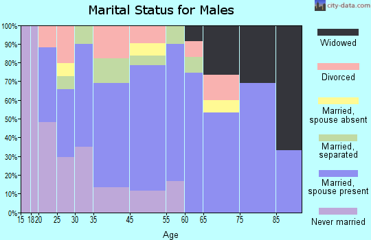 Melville marital status for males