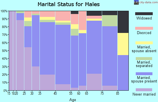 Merrydale marital status for males