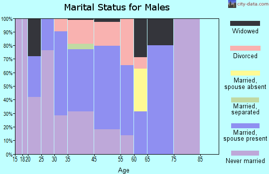 Grand Canyon Village marital status for males