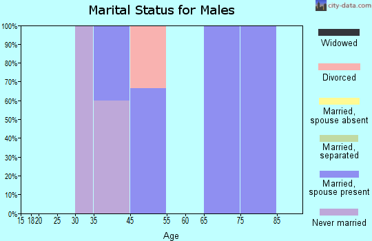 Mount Lebanon marital status for males