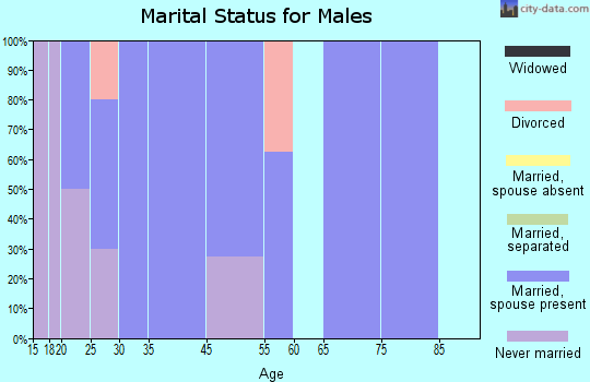 Noble marital status for males