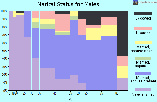 St. Martinville marital status for males