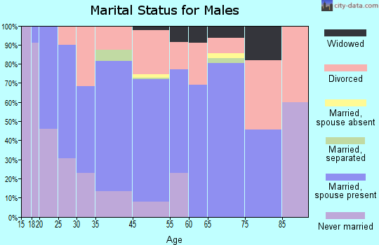 Huachuca City marital status for males