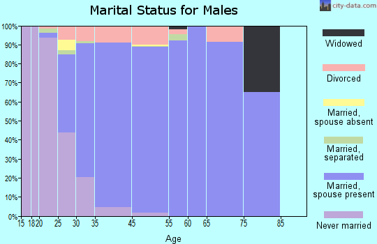 Shenandoah marital status for males