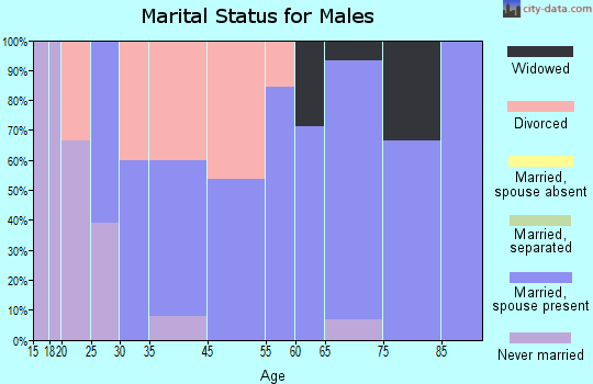 Springfield marital status for males