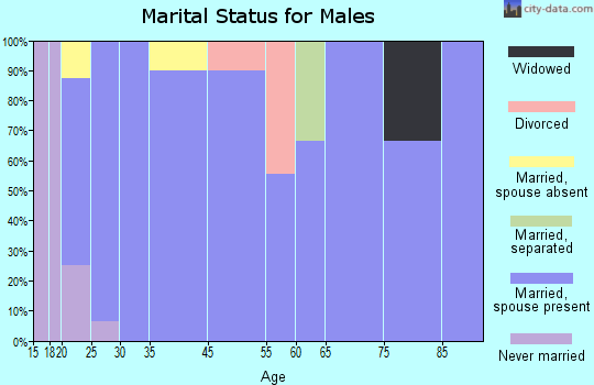 Turkey Creek marital status for males