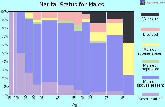 Welsh marital status for males