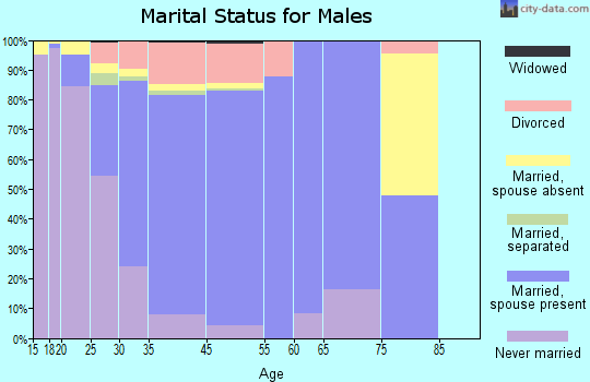 Woodmere marital status for males
