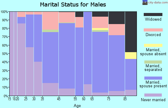 Brewer marital status for males