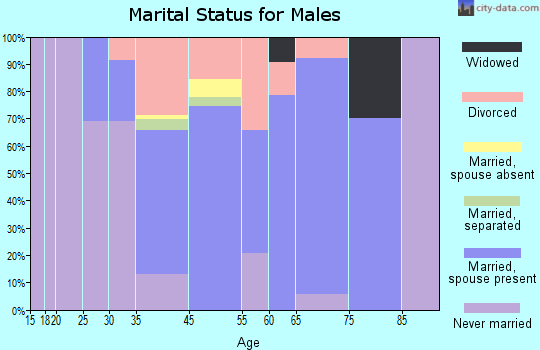 Bridgton marital status for males
