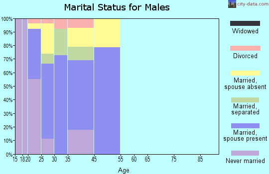 Brunswick Station marital status for males