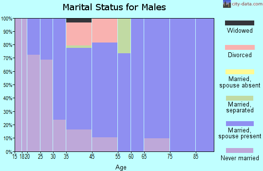 Cape Neddick marital status for males