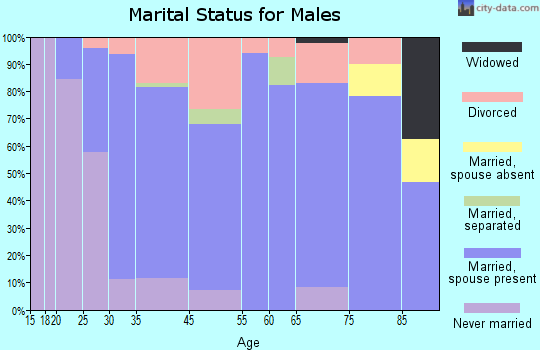Ellsworth marital status for males