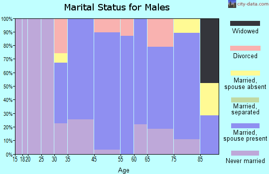 Falmouth Foreside marital status for males