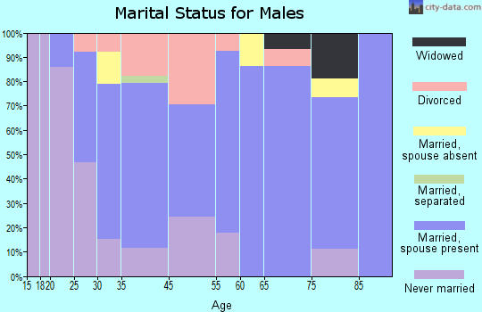 Farmingdale marital status for males