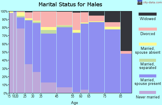 Lake Havasu City marital status for males
