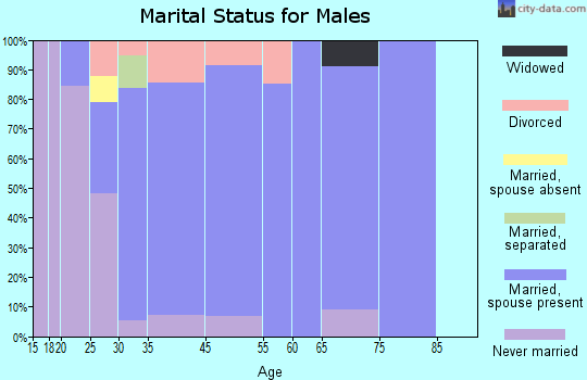 Hampden marital status for males