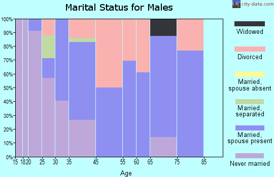 Livermore Falls marital status for males