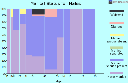Lechee marital status for males