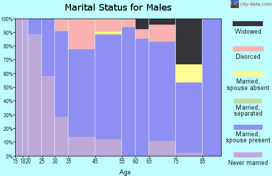 Millinocket marital status for males