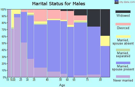 Presque Isle marital status for males