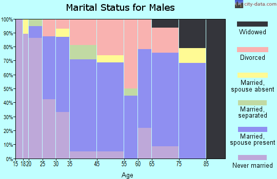 South Paris marital status for males
