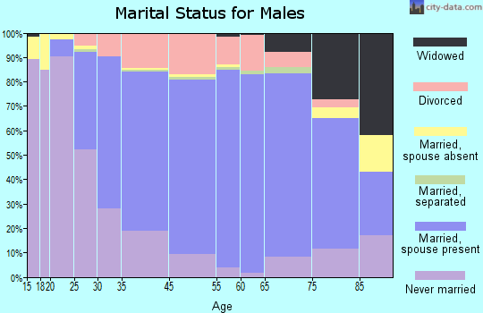 South Portland marital status for males