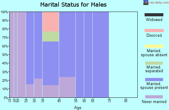 Littletown marital status for males