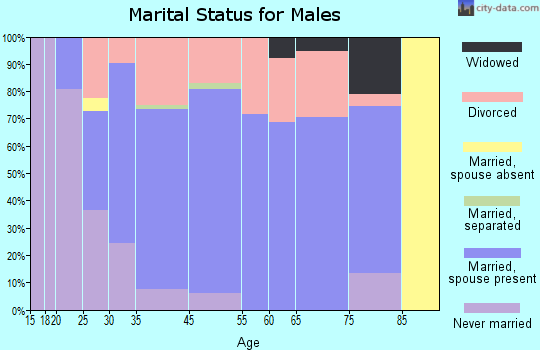 Springvale marital status for males