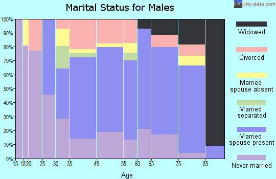 Van Buren marital status for males