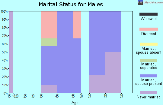 Barnesville marital status for males
