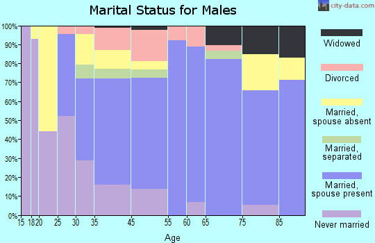 Bel Air marital status for males