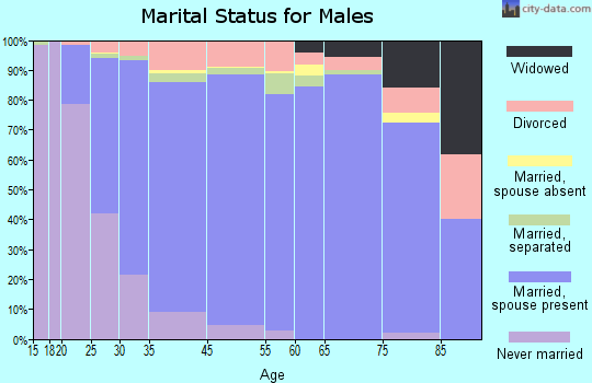 Bel Air South marital status for males