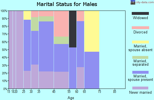 Many Farms marital status for males