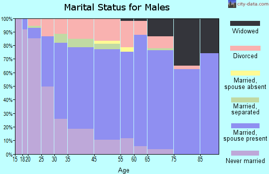 Brooklyn Park marital status for males