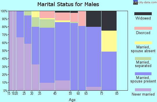 Brunswick marital status for males