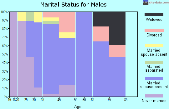 Calvert Beach-Long Beach marital status for males