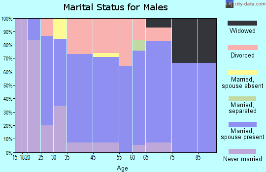 Chesapeake City marital status for males